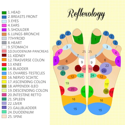 Foot reflexology chart